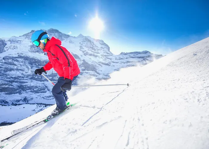 Allod Park Haus C 502 By Interhome Davos